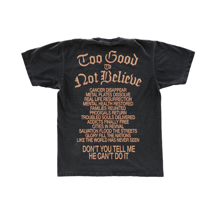 Plus Size Black 'Believe' Tiger Graphic Print T-Shirt